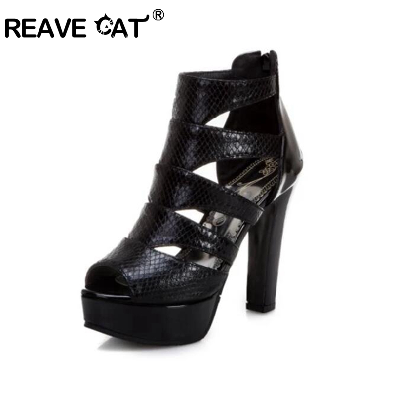 REAVE CAT Sexy Size 34-50 Wome - Chunky Sneaker Platform ulasan dan harga