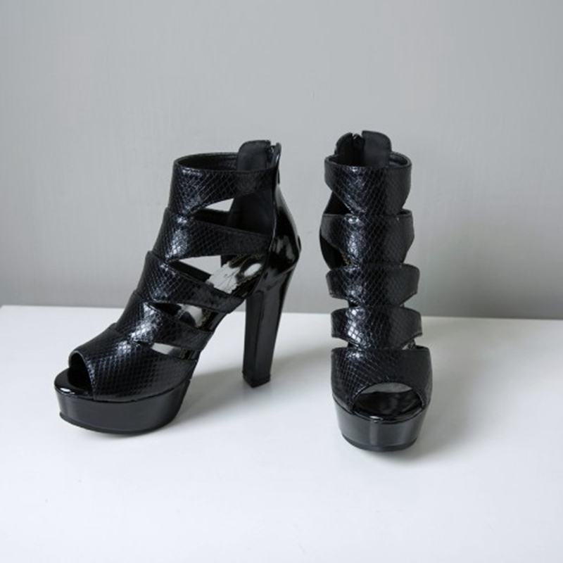 REAVE CAT Sexy Size 34-50 Wome - Chunky Sneaker Platform ulasan dan harga